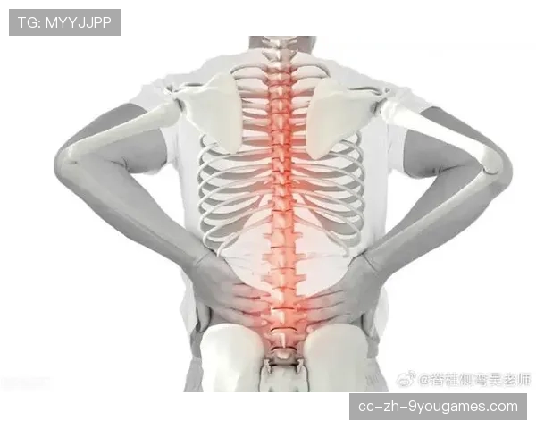 后腰支撑中轴稳定性，什么叫腰椎中后柱