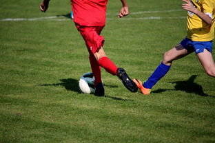 九游娱乐平台-“拳王争霸：四川省体育馆拳击赛将诞生新的世界拳王”